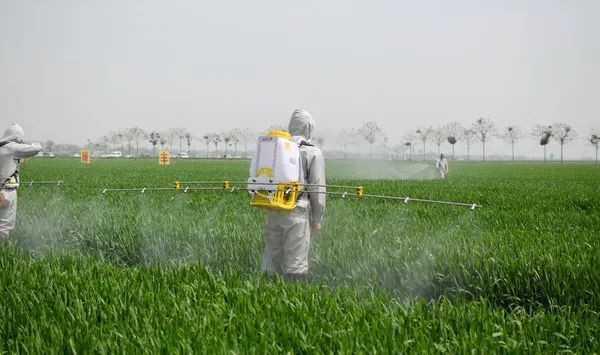 喷完苗前除草剂下点小雨好不好,好好学习农业知识