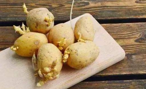 姣旀瘨铔囪繕姣掔殑缇庨,姣旀瘨铔囪繕姣掔殑涓滆タ