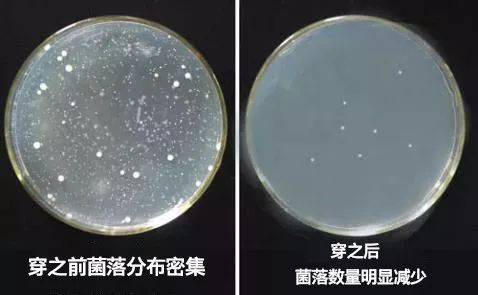 精致女裤舒适,女士杜蕾斯女裤