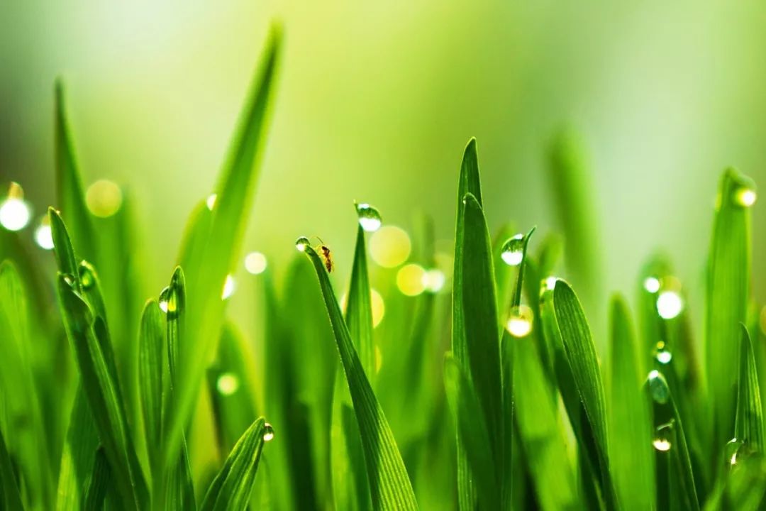 保湿喷雾当作爽肤水,保湿喷雾和面膜