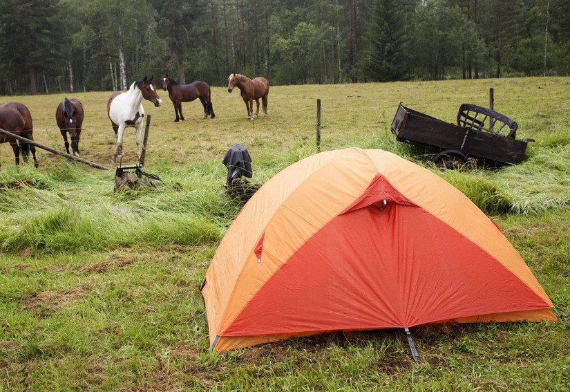 新手如何选购帐篷,折叠帐篷选购攻略