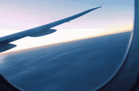 5鏈堜唤鏈虹エ浣庤嚦鐧借彍浠蜂粠瑗垮畨鍑哄彂,10鏈堢櫧鑿滀环鏈虹エ瑗垮畨鍑哄彂