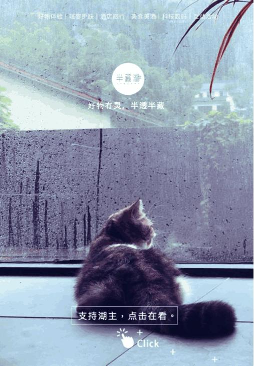 一间办公室如何布置办公桌,老板奢华办公室布置