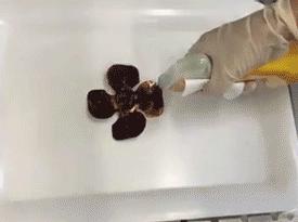 去污“高科技”！焦黑锅底、油垢、霉菌，喷一喷全消失