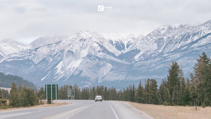 漫长的八个月,冬天的加拿大真的好美