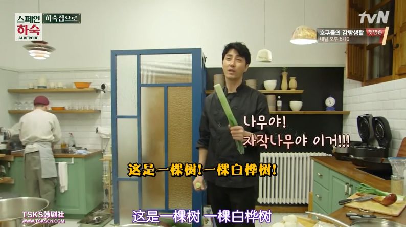 罗英石综艺节目表,罗英石新综艺