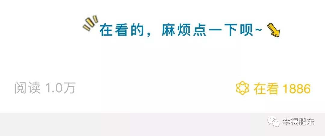 国务院通报表扬肥东,市政府表扬一批先进个人