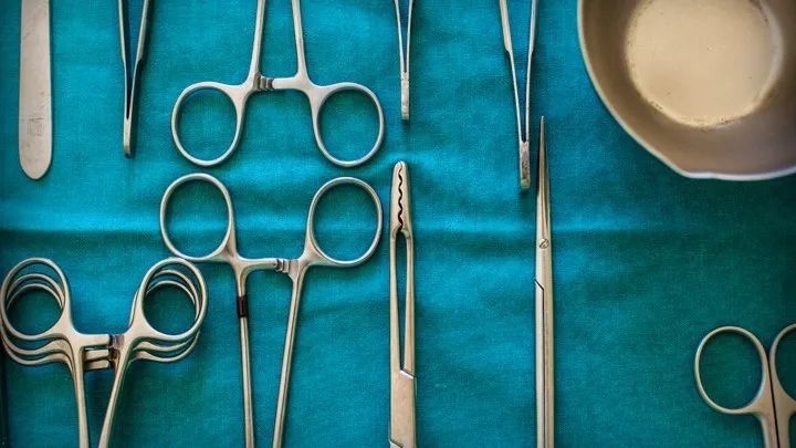 直到看了病理医生切的片子,我才明白了什么叫「艺术细胞」