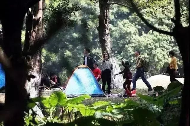 东莞五一旅游攻略推荐,最美人间四月天旅游攻略