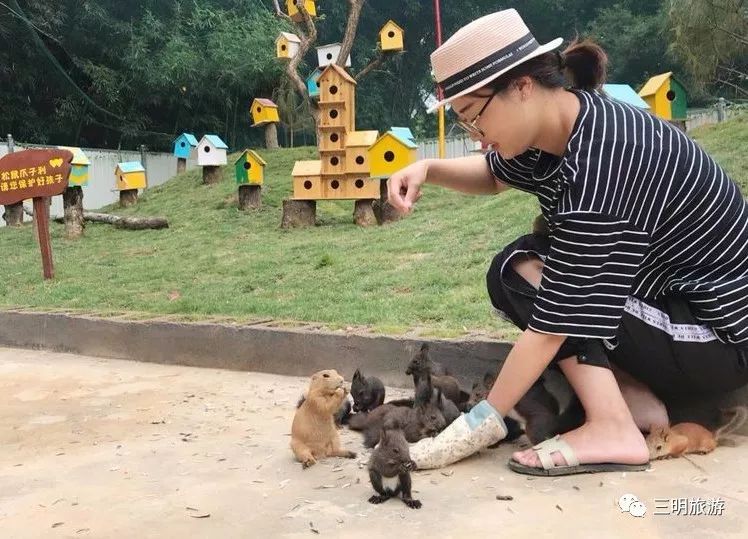 我在泰宁刚刚好，何必羡慕北上广！朋友圈传疯了！