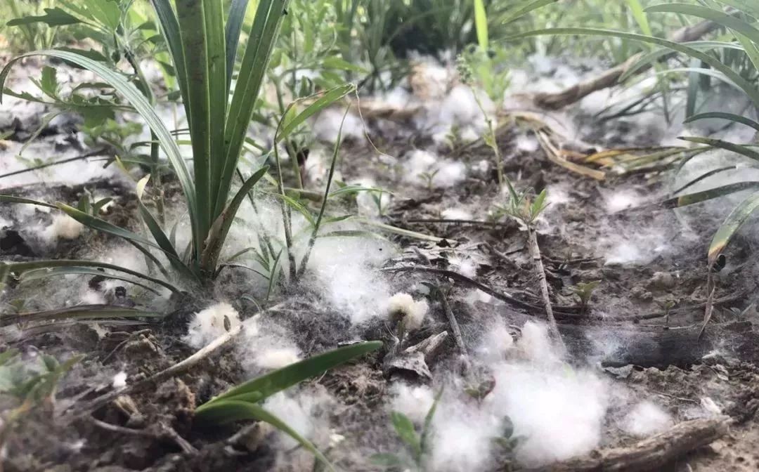 我姓杨，我向全邹城人民道歉！！但我有苦衷……