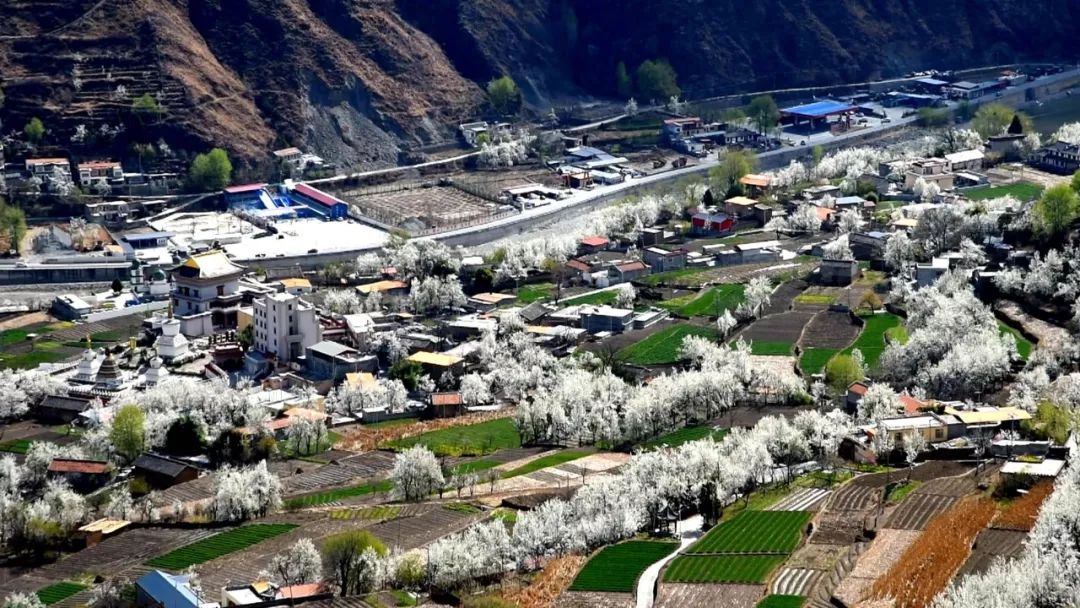 最适合清明旅行的20个地方,清明小长假适合哪里旅游