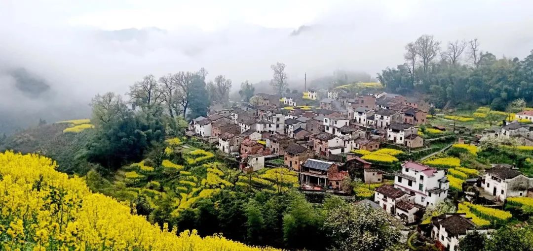 最适合清明旅行的20个地方,清明小长假适合哪里旅游