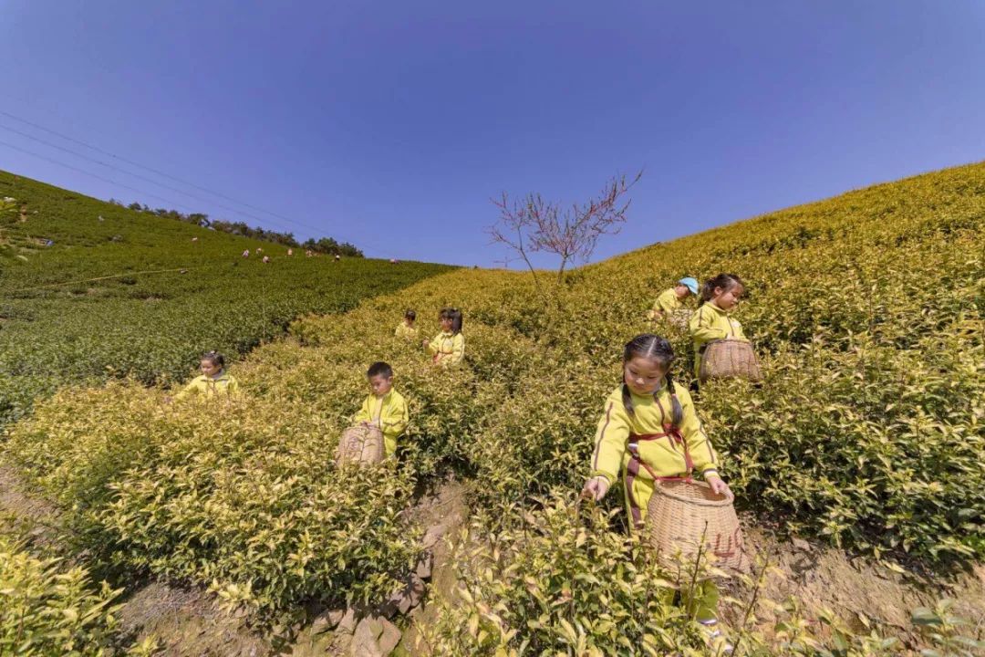 湖州一院清明节放假,湖州清明节各大医院放假安排
