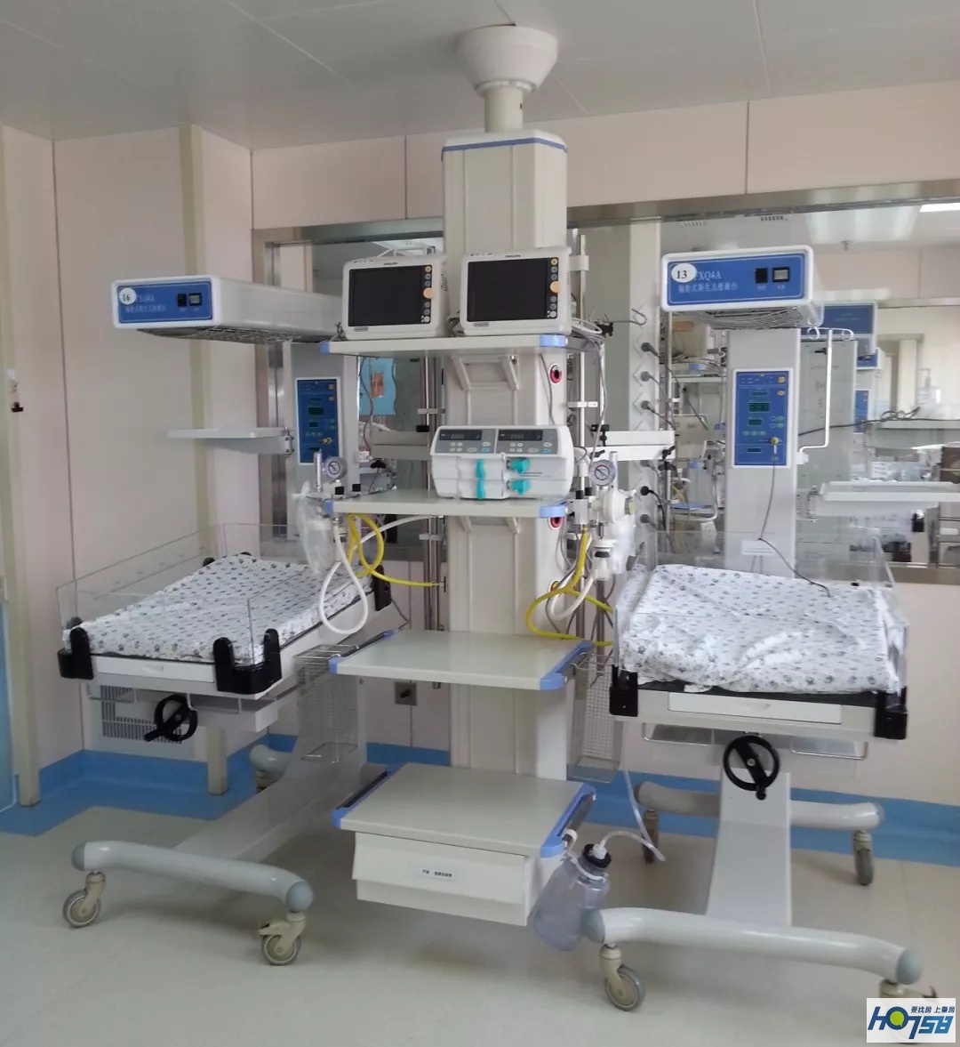 缂栫粐鐢熷懡涔嬬綉,缂栫粐鐢熷懡涔嬬綉浣滃搧