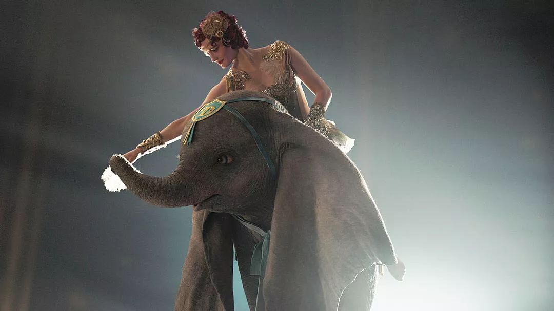 我们喝过啤酒粉象，却不知道它就是全世界最伤心的《小飞象》