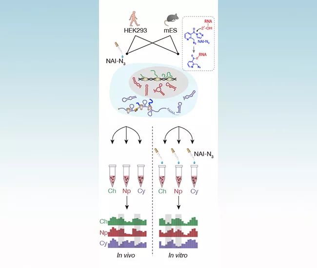 机械前沿领域的科研成果,盘点医学界前沿十大科研成果