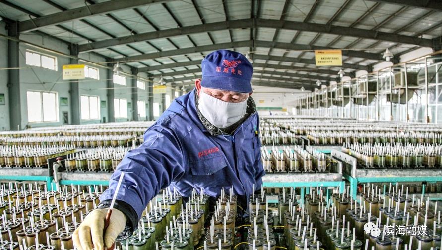 滨海县现代农业产业园规划,滨海新区新兴产业园