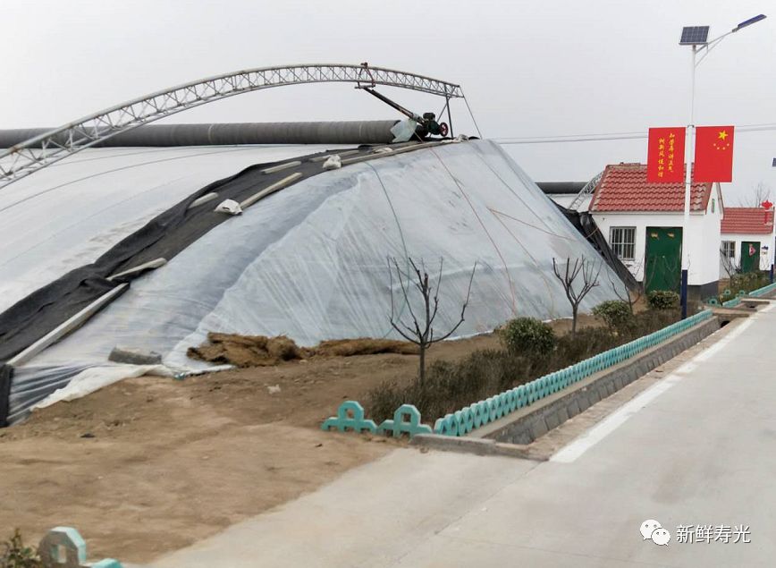 绾彴鑿滃啘,瀵垮厜绾彴鑿滃啘