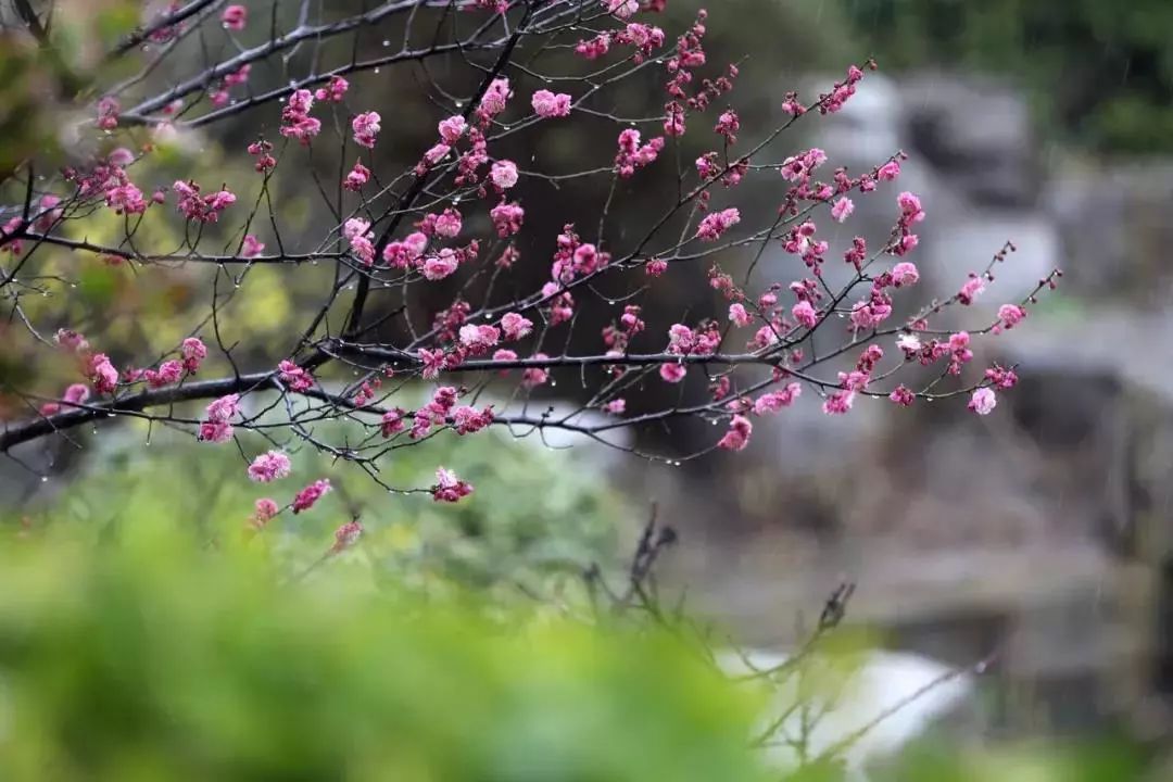 清明时水墨画,清明节的画第一名水墨画有难度