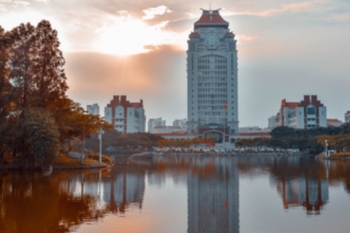 厦门清明花海景点,厦门海沧清明踏青赏花路线