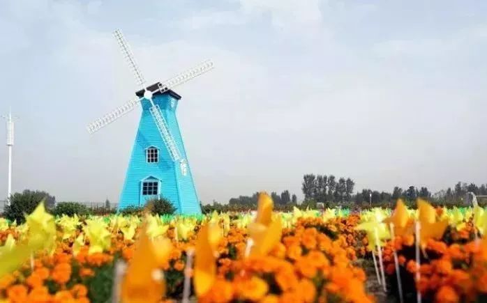 最新通告!清明假期,河北这些地儿不能去,因为……