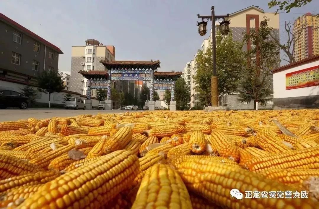 清明节去哪旅行最美,清明时节适合旅行