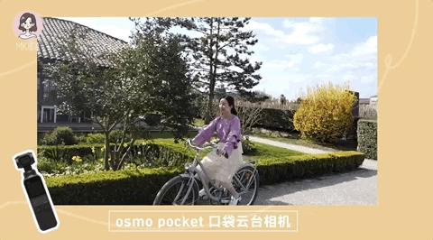 平价超好用气垫,平价又超级好用气垫