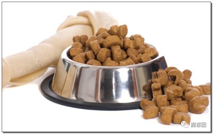 小提琴特色小镇,中国小提琴特色小镇