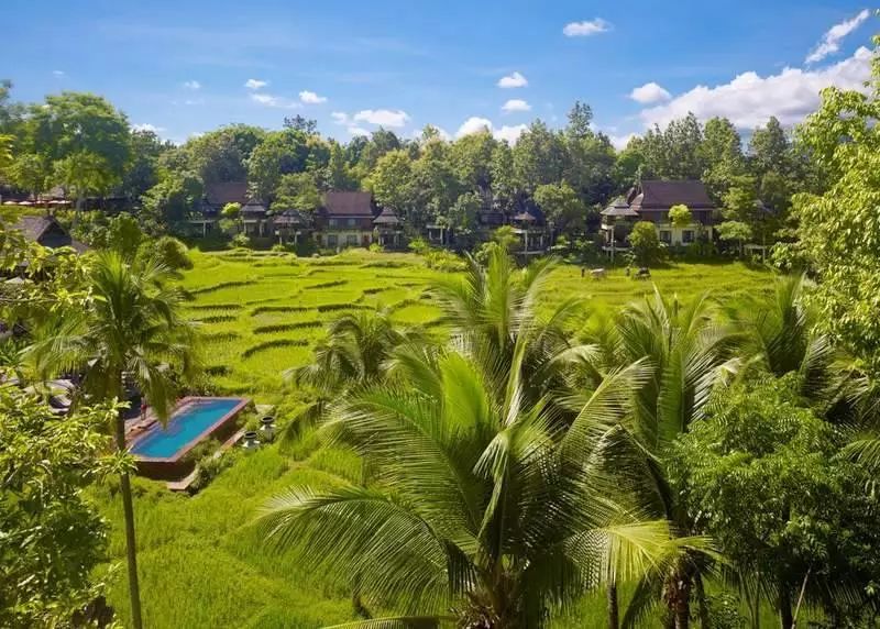 泼水节狂欢泰国,19年清迈泼水节真的太爽了