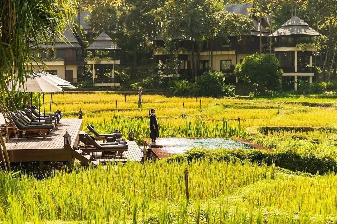 泼水节狂欢泰国,19年清迈泼水节真的太爽了