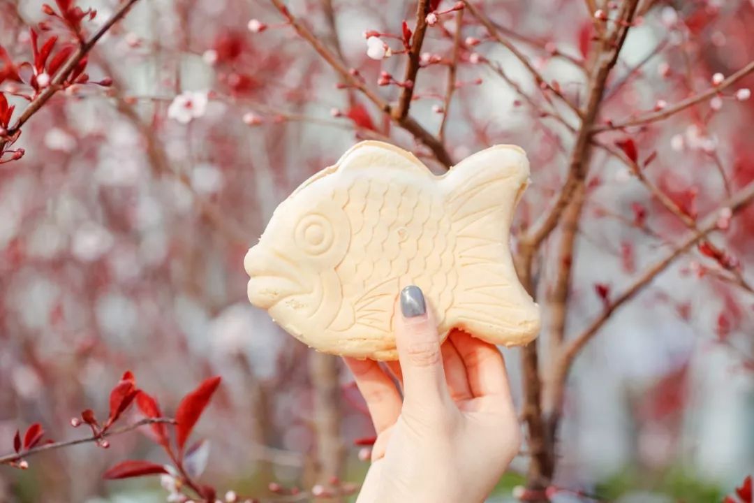 7.11便利店什么雪糕值得买,适合便利店的雪糕