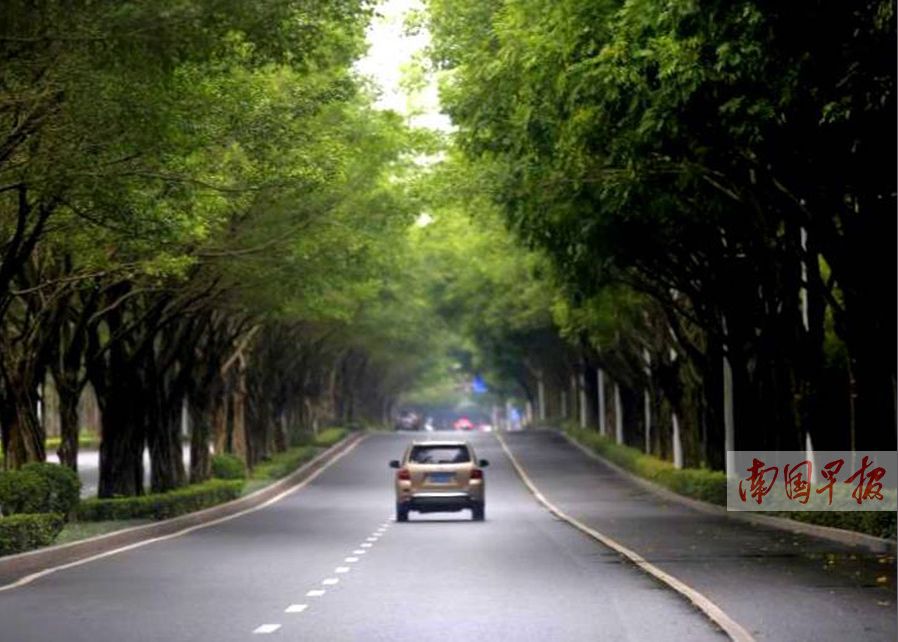 讲脏话是时尚，不说会落伍？南宁近5成孩子生活中“出口成脏”！