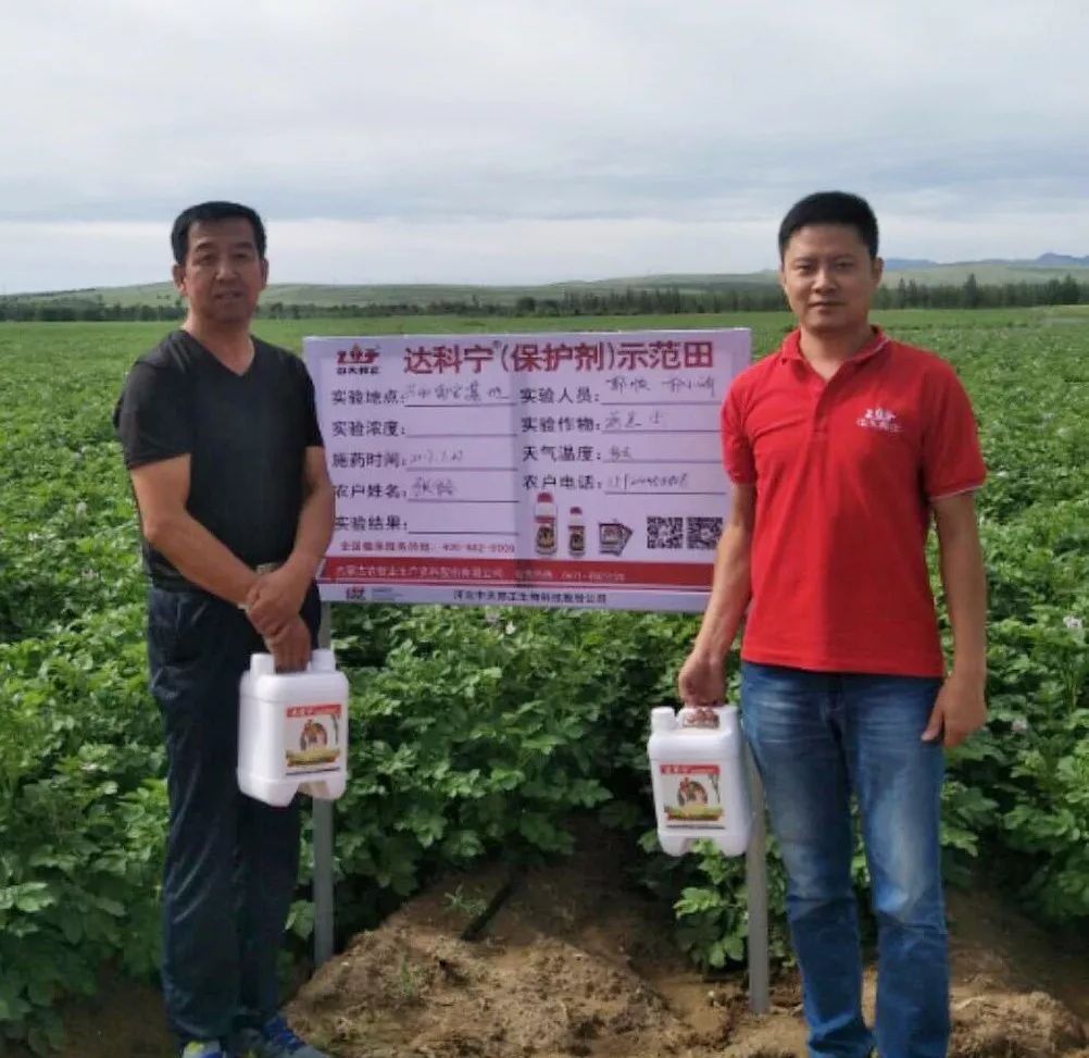 达科宁杀菌剂,达科宁百菌清杀菌剂