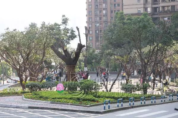 土湾片区旧改,重庆沙坪坝土湾重棉二厂