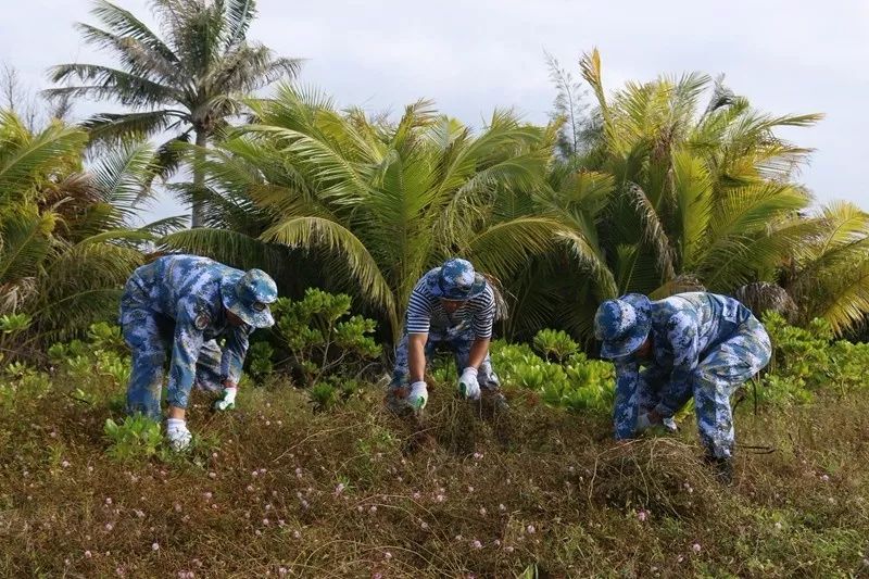 鍗楁捣鑸伴槦姘村叺瑙嗛,娴峰啗鍗楁捣鑸伴槦姘村叺瑙嗛