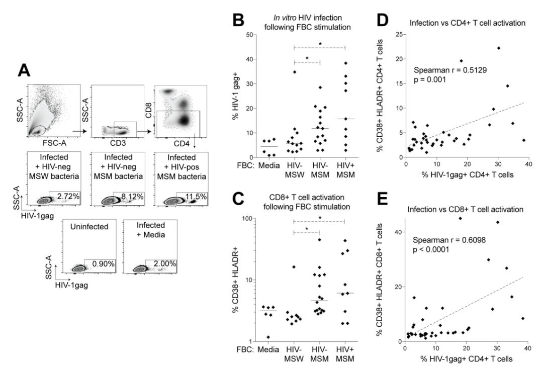 百晓生拿什么拯救你我的爱人,百晓生解析寄生虫