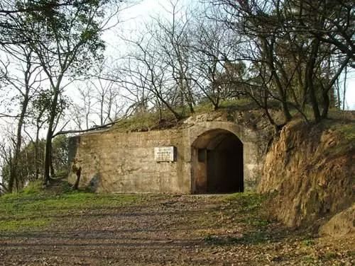 寮烘倣涔嬪厜,寮烘倣涔嬭檸