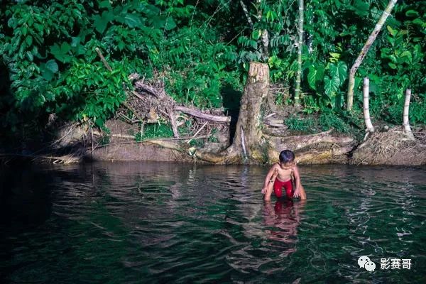 rgp2020价目表,rgp2022世界冠军