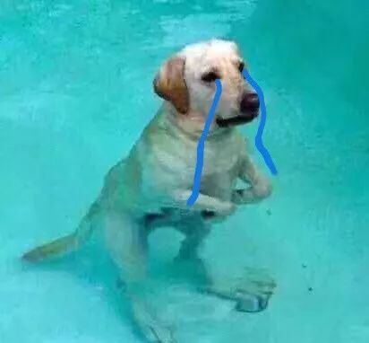 为什么俄罗斯的化妆品最便宜,俄罗斯什么化妆品比较便宜