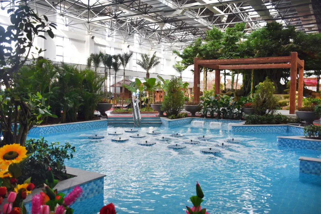 菏泽观赏牡丹花基地,菏泽牡丹花什么时候欣赏最好