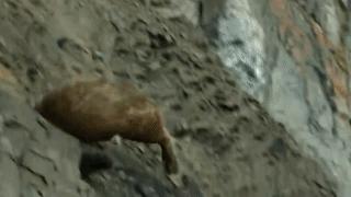 bbc经典必看十大纪录片,bbc十大经典纪录片9.9