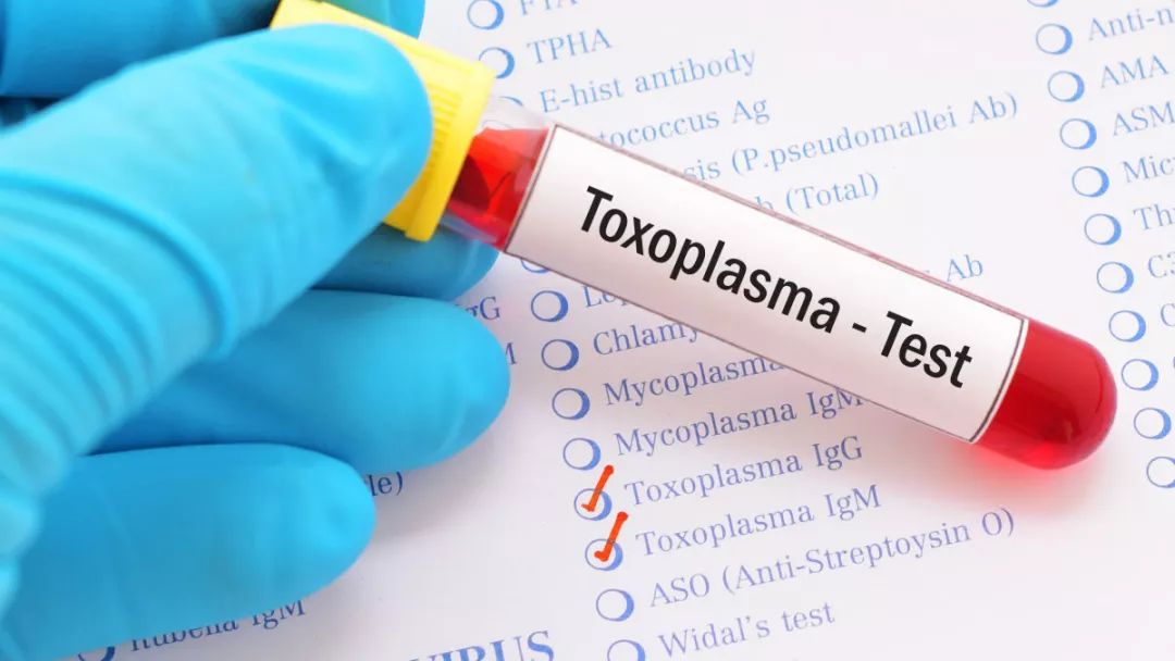 巍医生科普知识,巍子医生科普看血常规