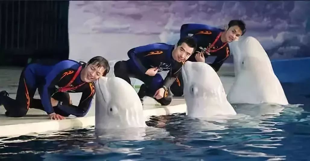 上海魔都景区,上海魔都必去景点免费