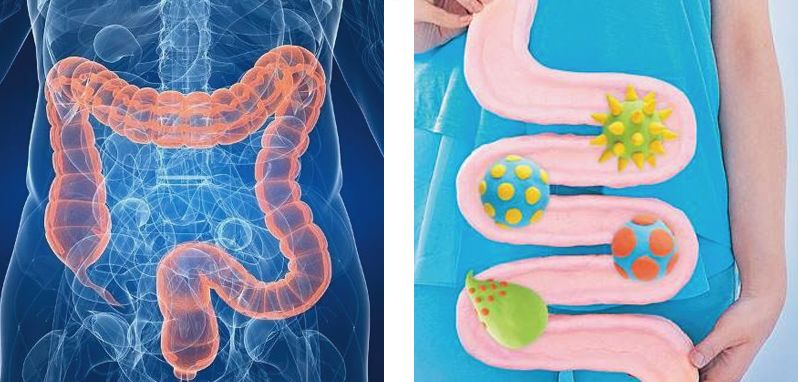 网红小花完整视频,网红小花的视频