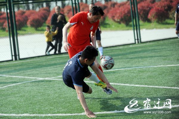 球迷专属福利,球迷福利游戏有哪些