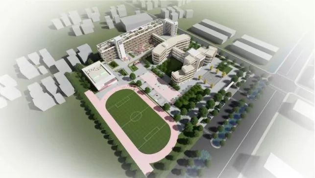 珍贵小学生的老照片,佛山珍贵老照片视频