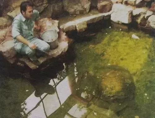 中国唯一一只斑鳖,全世界的斑鳖灭绝了吗