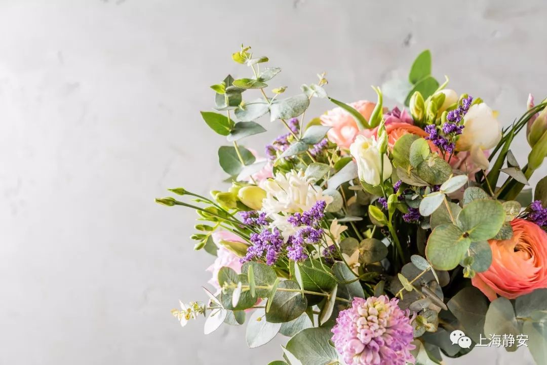 过期药片可以在花盆里养吗,过期的药片丢在花盆里花都长疯了