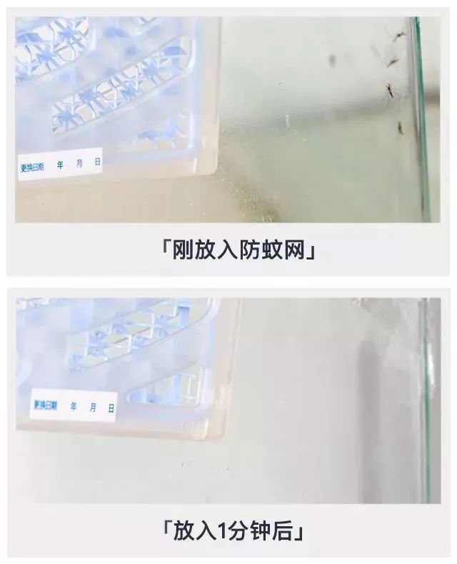 100%遮光蚊帐,蚊帐防蚊神器